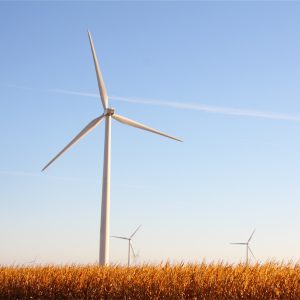 Elizabeth Strout: Anything is Possible