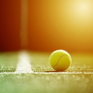 Julian Barnes: The only story