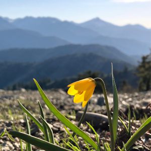 Tara Westover: Educated