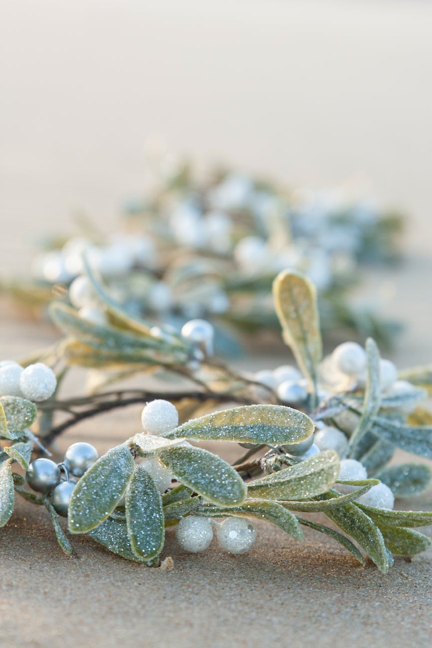 a mistletoe stem on the sand